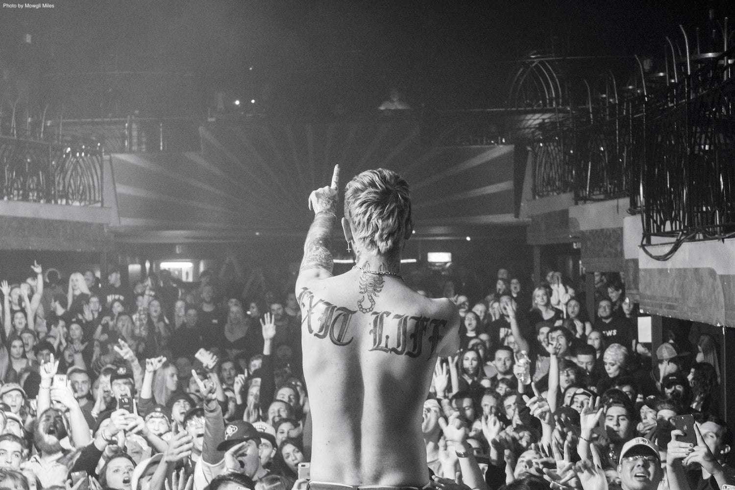 Gus Forever: The Official Archive